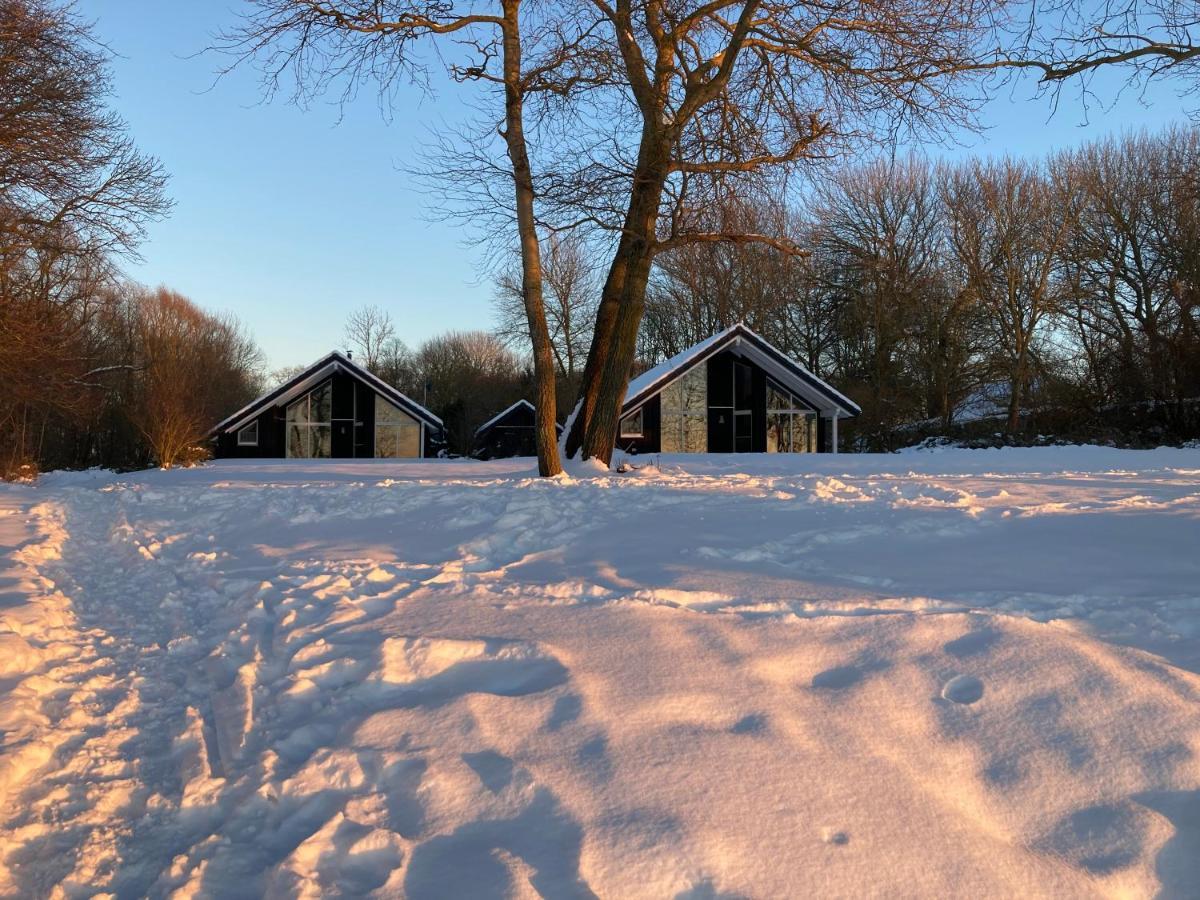 Apartment Ferienhaeuser Boddenstrand Wiek auf Rügen
